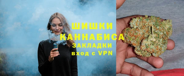 PSILOCYBIN Дмитриев