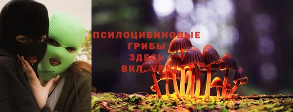 прущая мука Лиски