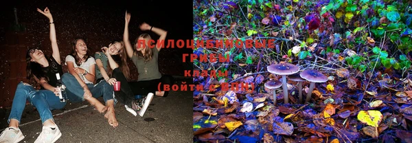 герыч Липки