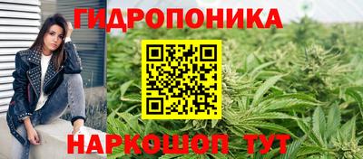 индика Апшеронск