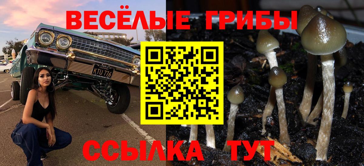 Псилоцибиновые грибы GOLDEN TEACHER  Белая Калитва 