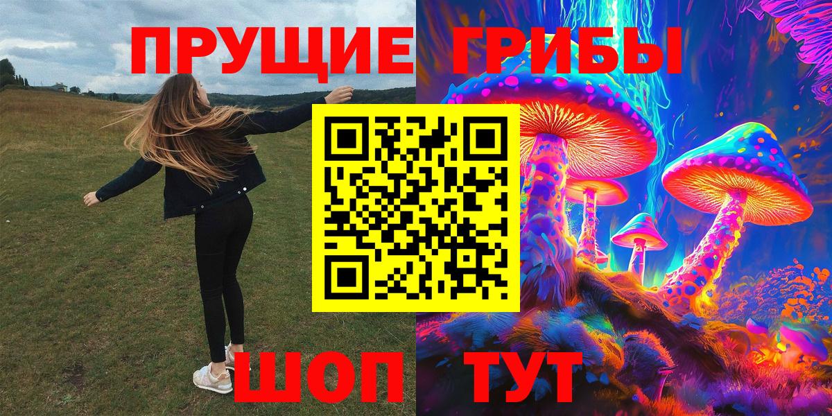 Галлюциногенные грибы мицелий Белая Калитва