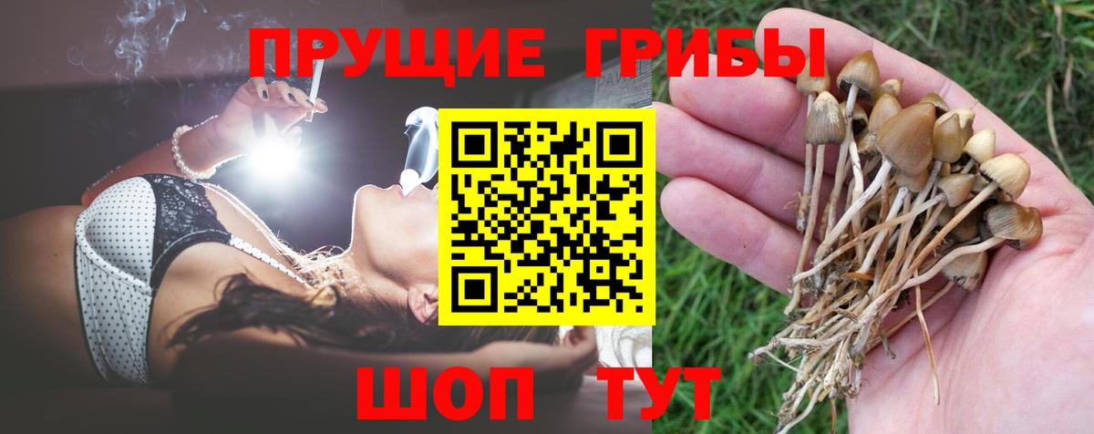 Галлюциногенные грибы прущие грибы  Вход с VPN  закладка  Белая Калитва  Галлюциногенные грибы Psilocybe 