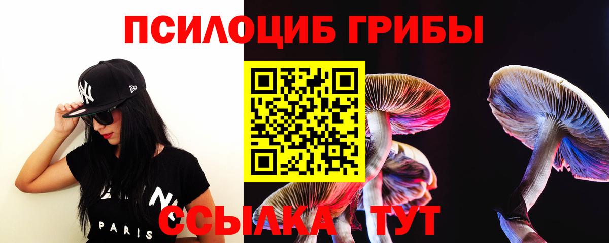 Галлюциногенные грибы Psilocybine cubensis Белая Калитва